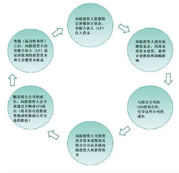 硅谷風險投資人的企業管理真言 如何構建持續創新的組織